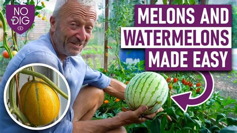 melontube porn|melons videos